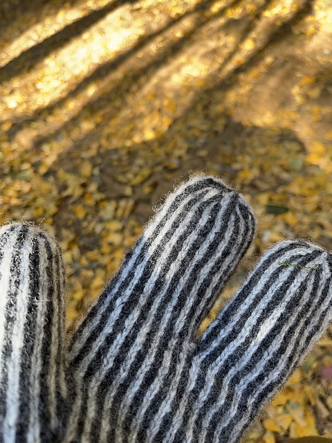 Calidum Mitts