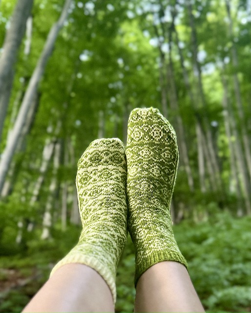 Beech Bud Socks