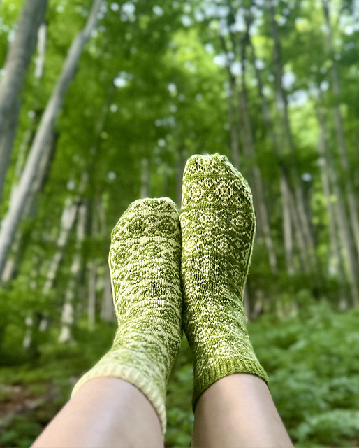 Beech Bud Socks