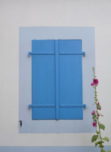 Closed blue shutters with a stalk of pink flowers