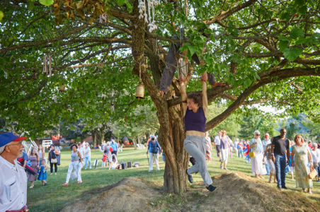 Acrobat hanging from an acrobat shaking a tree